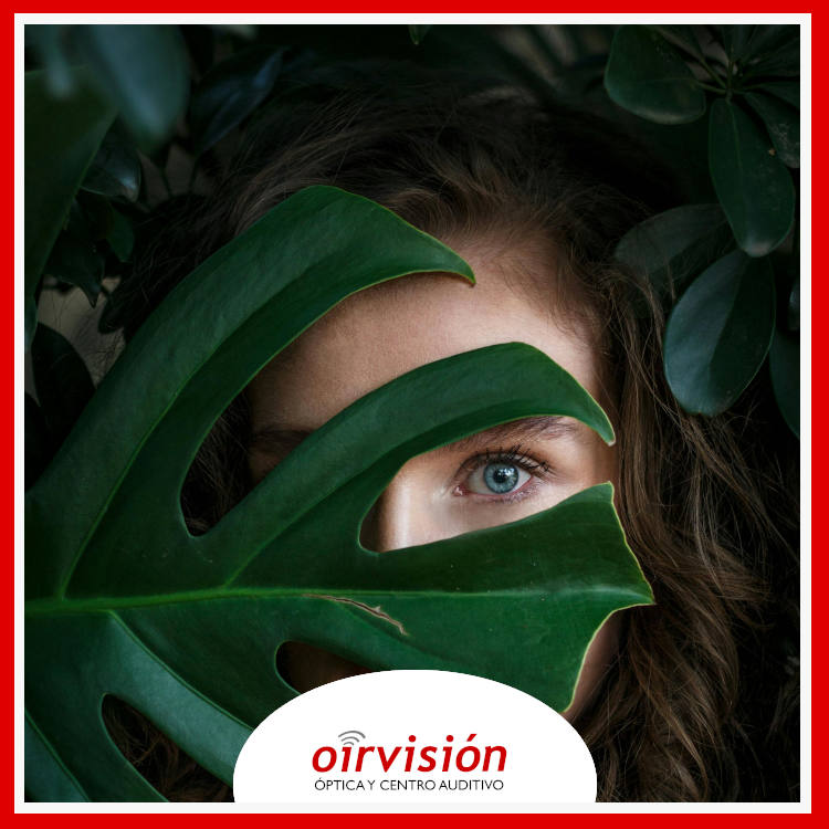 Ojos sanos en verano